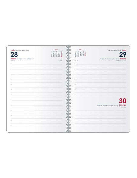 AGENDA 2026 DOHE SYNCRO DÍA PÁGINA 15x21cm CASTELLANO