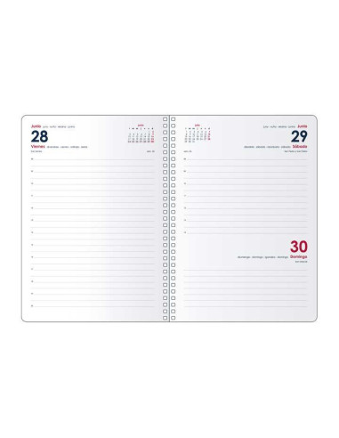 AGENDA 2026 DOHE MEMPHIS DÍA PÁGINA 15x21cm