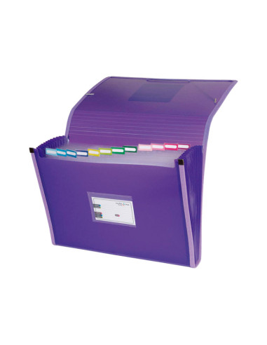 CARPETA CLASIFICADORA GRAFOPLAS CON FUELLE MULTILINE