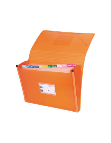 CARPETA CLASIFICADORA GRAFOPLAS CON FUELLE MULTILINE