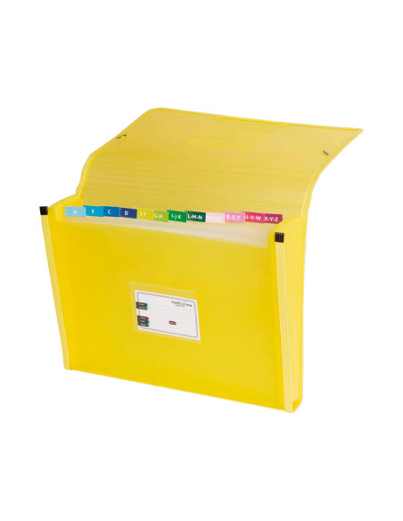 CARPETA CLASIFICADORA GRAFOPLAS CON FUELLE MULTILINE