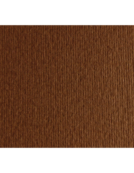 PACK 20h CARTULINA LISA/RUGOSA FABRIANO 50x70cm