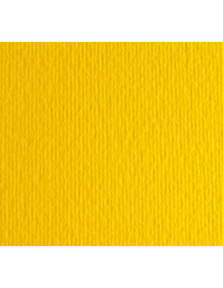 PACK 20h CARTULINA LISA/RUGOSA FABRIANO 50x70cm