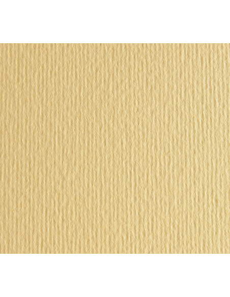 PACK 20h CARTULINA LISA/RUGOSA FABRIANO 50x70cm