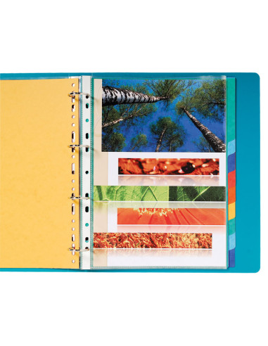 SEPARADORES EXACOMPTA PREMIUM 10 POSICIONES A4