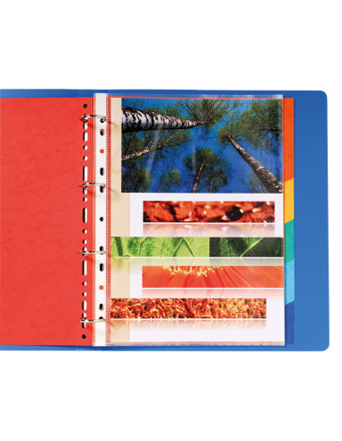 SEPARADORES EXACOMPTA PREMIUM 6 POSICIONES A4