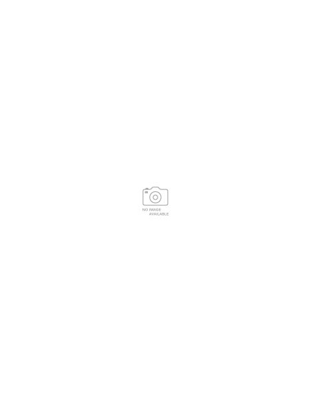 REVELADOR GRAPHICJET KONICA-MINOLTA DV211