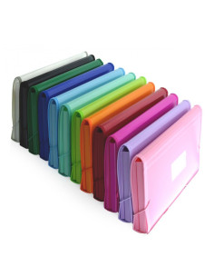 CLASIFICADOR OFFICE BOX 12 DIVISIONES  COLORLINE PANORAMA