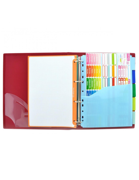 CARPETA & BLOCK OFFICE BOX A4 "COLORLINE"
