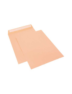 CAJA 250 BOLSAS SAM DE USO GENERAL 250x353mm CELULOSA