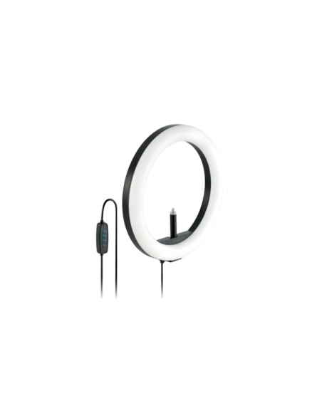 ANILLO DE LUZ KENSINGTON L1000