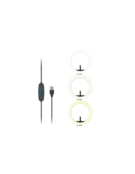ANILLO DE LUZ KENSINGTON L1000