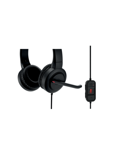 AURICULARES KESINGTON H1000