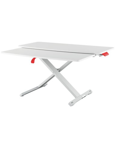 MESA CONVERTIBLE LEITZ ERGO COSY CON BANDEJA