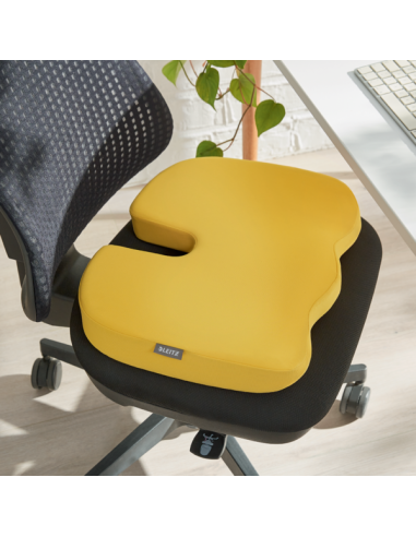 COJÍN DE ASIENTO LEITZ ERGO COSY