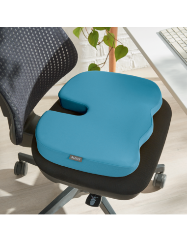 COJÍN DE ASIENTO LEITZ ERGO COSY
