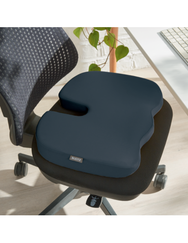 COJÍN DE ASIENTO LEITZ ERGO COSY