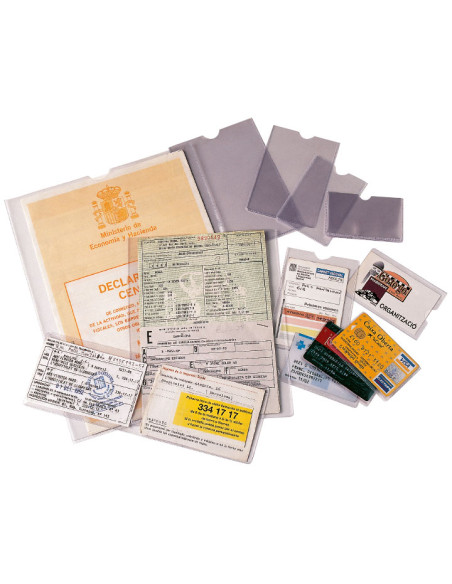 CAJA 100 PORTACARNETS ESSELTE 171x221mm