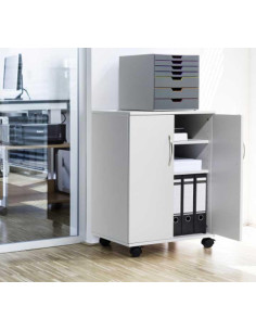 CARRO MULTIFUNCIÓN DURABLE 7453 CERRADO 2