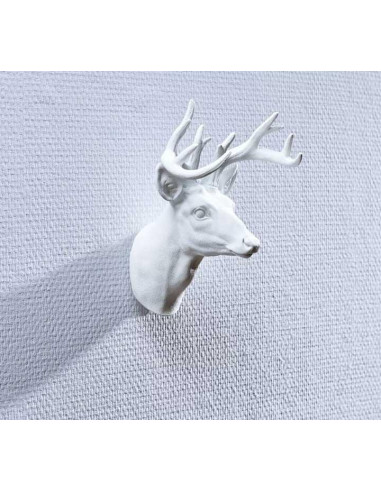 BLÍSTER 2 CLAVOS TESA PARA PAREDES PINTADAS 1kg