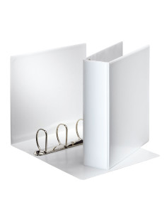 CARPETA PERSONALIZABLE ESSELTE 4-60 mm