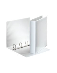 CARPETA PERSONALIZABLE ESSELTE 4-40 mm