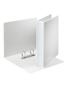 CARPETA PERSONALIZABLE ESSELTE 2-40 mm