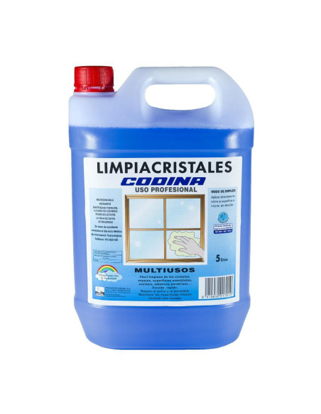 GARRAFA LIMPIACRISTALES MULTIUSOS 5 L