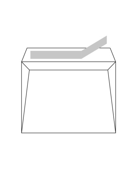 CAJA 250 SOBRES SAM A-18495 190x250mm