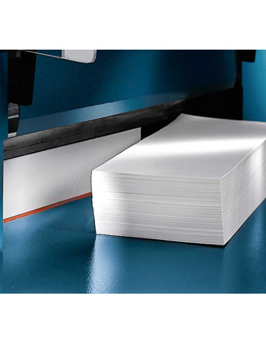 GUILLOTINA INDUSTRIAL DAHLE 848 PARA GRUESOS