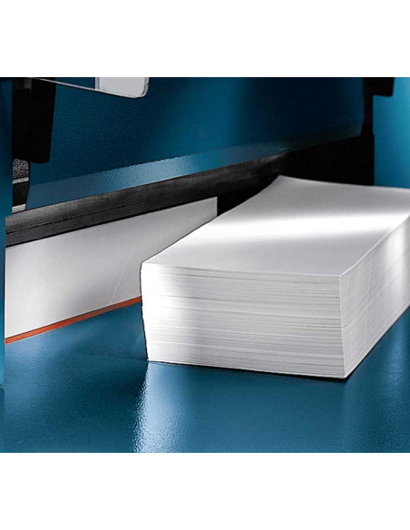GUILLOTINA INDUSTRIAL DAHLE 848 PARA GRUESOS