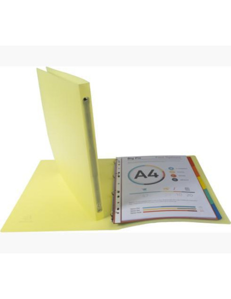 CARPETA DE 4 ANILLAS EXACOMPTA A4 CHROMALINE PASTEL