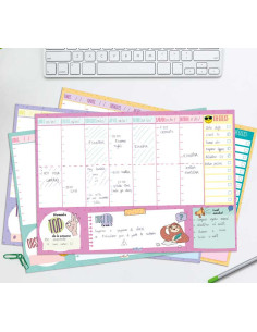 PLANIFICADOR FINOCAM TALKUAL PERSONAL SEMANA VISTA A4 CASTELLANO 2