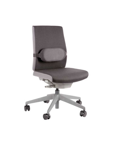 COJÍN LUMBAR FELLOWES I-SPIRE SERIES