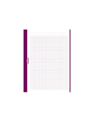 CUADERNO ESPIRAL 80h ESCOLOFI PANTONE BASICS A4 5x5