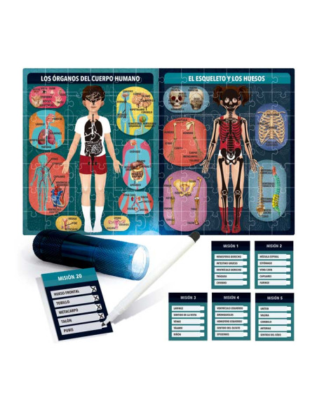 JUEGO HEADU EL CUERPO HUMANO BAJO RAYOS X