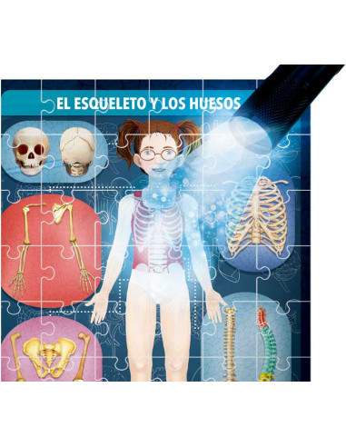 JUEGO HEADU EL CUERPO HUMANO BAJO RAYOS X