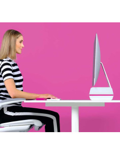 SOPORTE PARA MONITOR LEITZ ERGO WOW 2