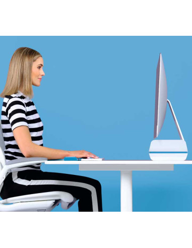 SOPORTE PARA MONITOR LEITZ ERGO WOW