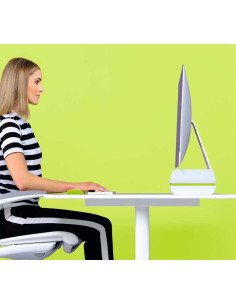 SOPORTE PARA MONITOR LEITZ ERGO WOW 2