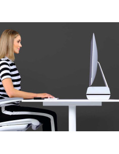 SOPORTE PARA MONITOR LEITZ ERGO WOW 2