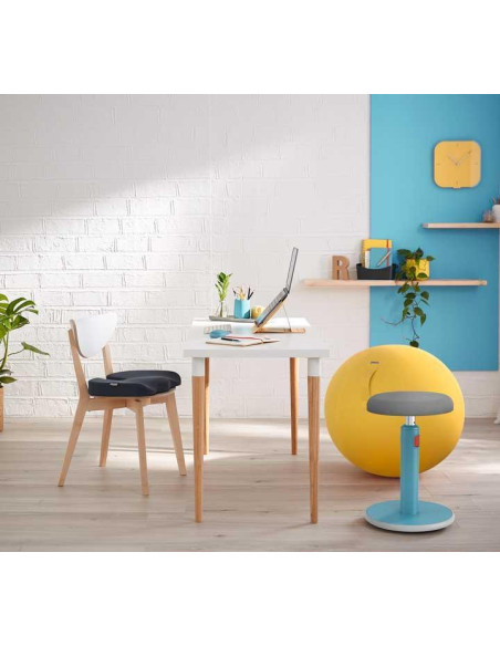 BOLA ASIENTO ACTIVE LEITZ ERGO COSY 65cm