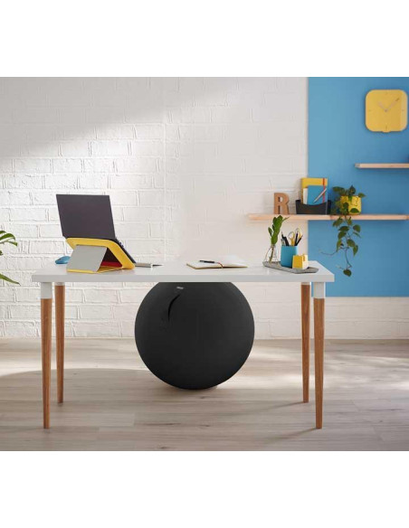 BOLA ASIENTO ACTIVE LEITZ ERGO COSY 65cm
