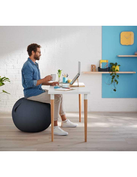 BOLA ASIENTO ACTIVE LEITZ ERGO COSY 65cm