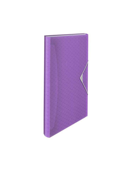 CARPETA ACORDEÓN ESSELTE COLOUR`BREEZE 6 SEPARADORES