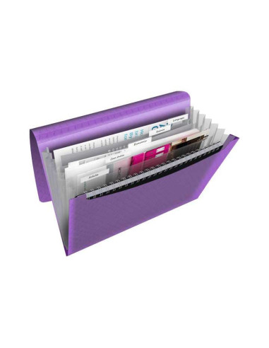 CARPETA ACORDEÓN ESSELTE COLOUR`BREEZE 6 SEPARADORES