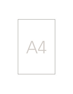 CAJA 100h TRANSPARENCIAS APLI 1 CARGA MANUAL 2