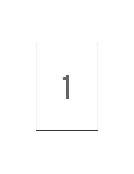 ETIQUETAS ADHIMPRAPLI A4 POLYESTER MATE RESISTENTE INTEMPERIE LS-CP BLISTER 20h BLANCO 210x297 mm CRECTOS 20 uds01228
