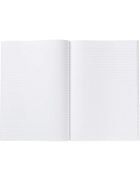 LIBRO CARTONÉ MIQUEL RIUS 100h HORIZONTAL F APAISADO