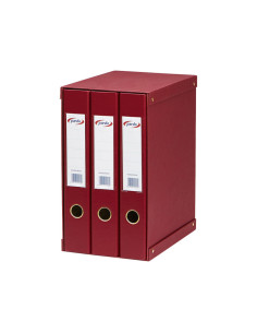 MÓDULO 2 CARPETAS DE ANILLAS PARDO F